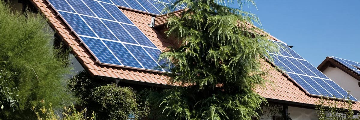 Solar Panels shaded by trees