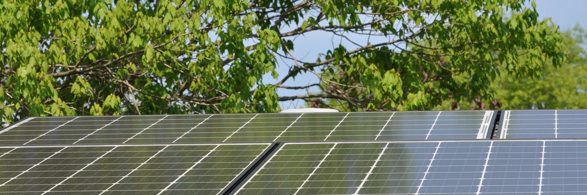 Solar panels under trees