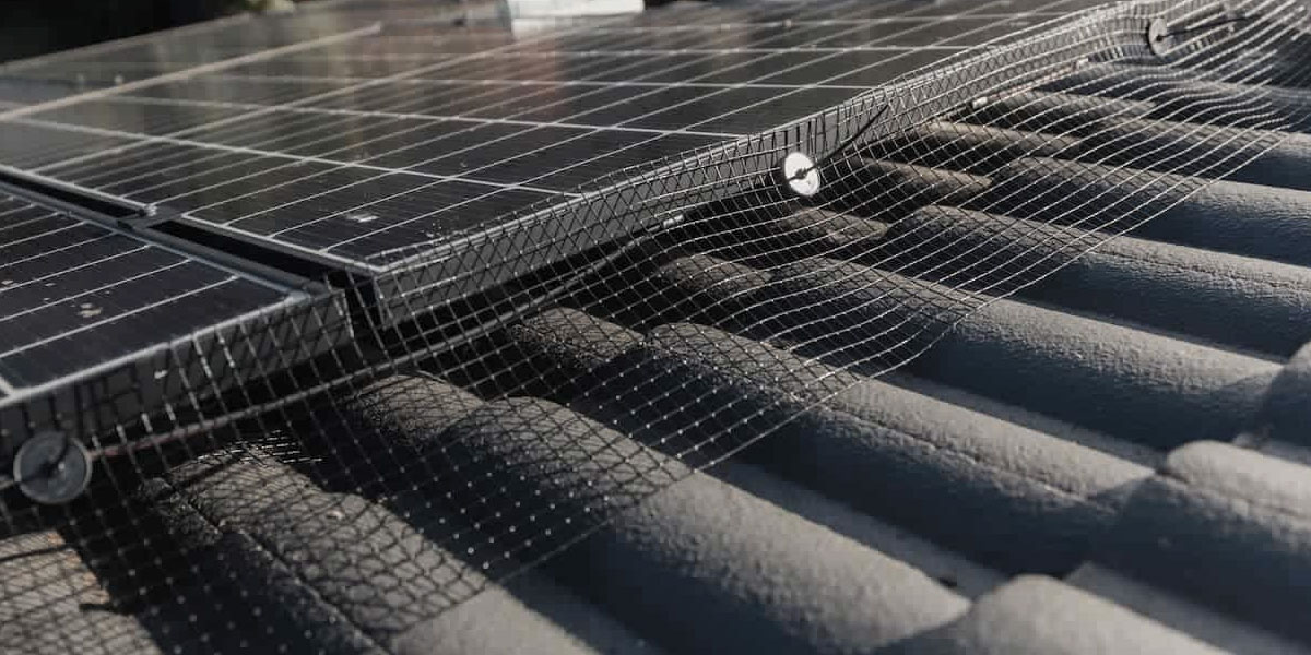 Solar panels with bird mesh
